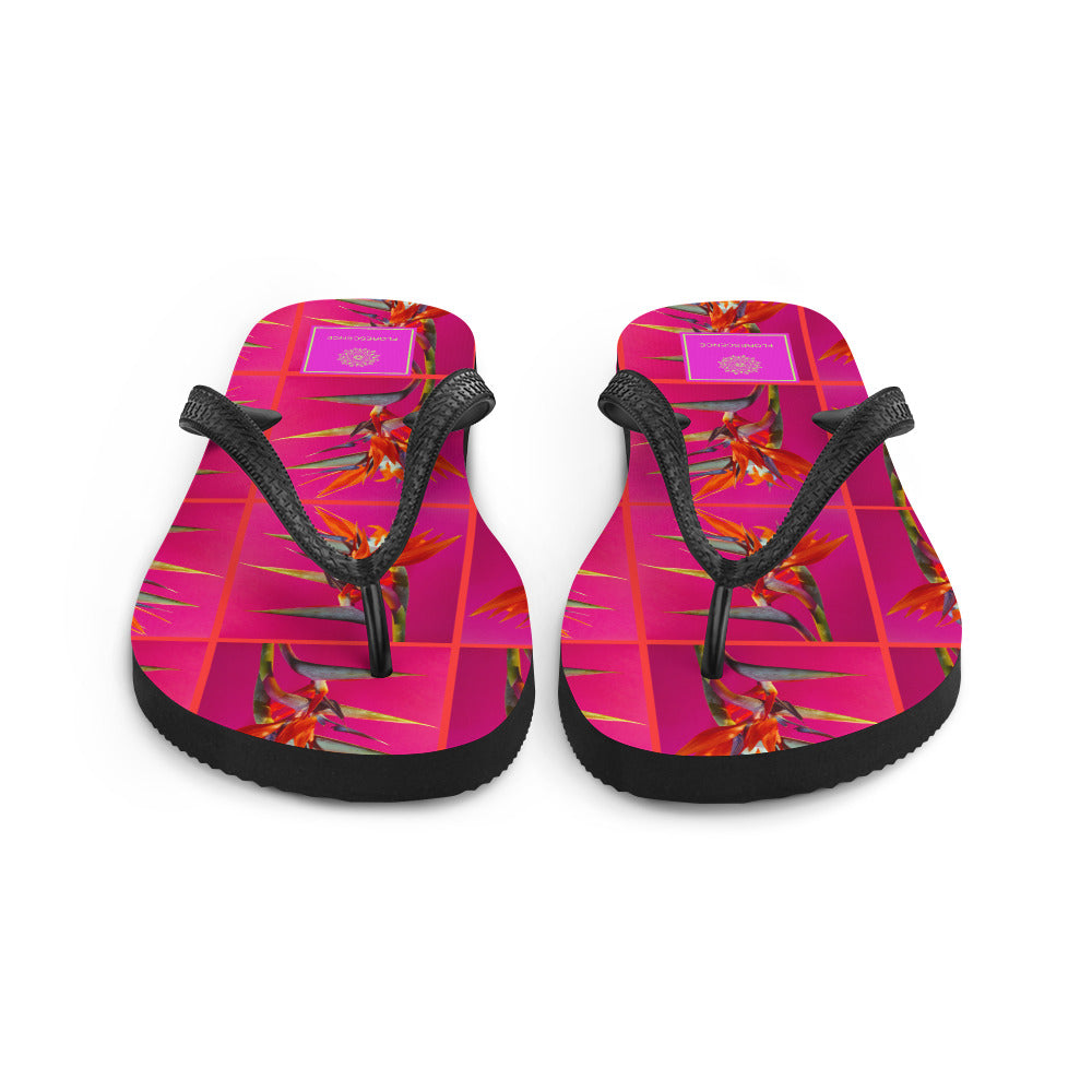 Florescence Pink Paradise  Multi Flip-Flops